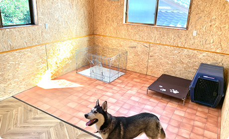 預かりトレーニングについて