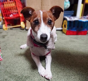 落ち着いていて欲しい