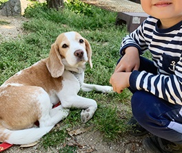 可愛がられる犬に育って欲しい